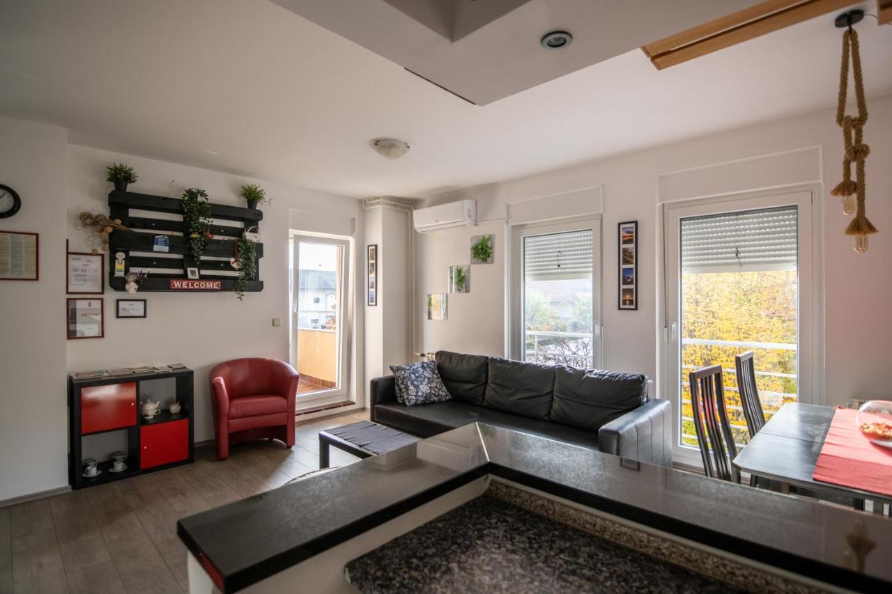 Apartment Biscan Sveta Nedelja エクステリア 写真