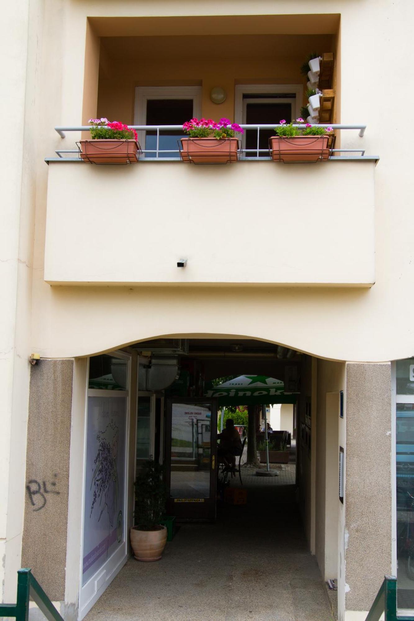 Apartment Biscan Sveta Nedelja エクステリア 写真
